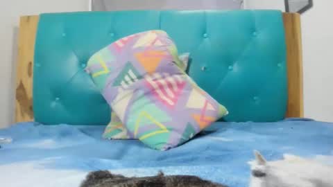 armanidark online show from September 15, 2025, 2:11 am