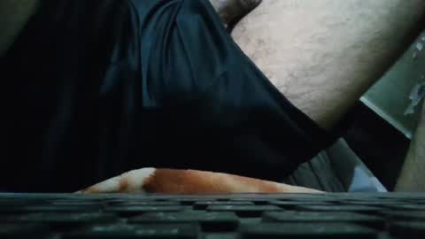 art_max99xxx online show from January 12, 2025, 2:14 am