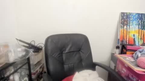 Snapshot of artsyandcraftsy_ chatting on February 6, 2026, 11:19 pm MIA online show from February 6, 2026, 11:19 pm