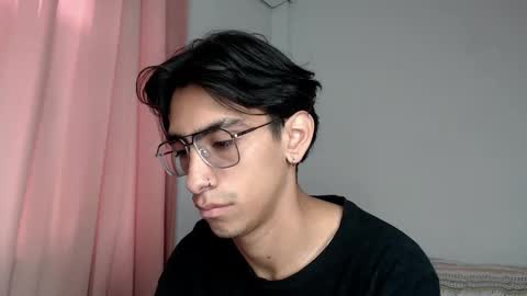 Snapshot of ash_v1 chatting on November 11, 2025, 1:33 pm Ash online show from November 11, 2025, 1:33 pm