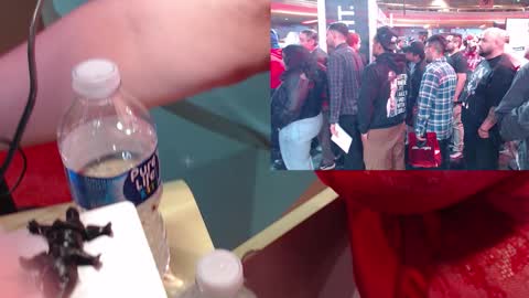 Snapshot of ashbashgirl chatting on January 19, 2026, 4:05 am SweetAshCheeks online show from January 19, 2026, 4:05 am