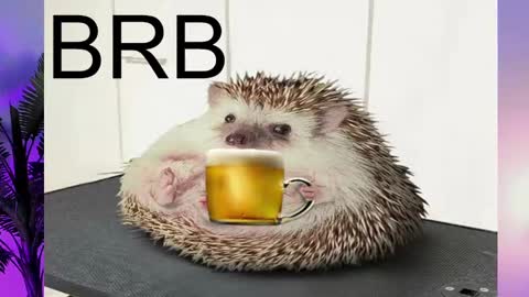 Snapshot of asheluck chatting on February 16, 2025, 8:22 pm AshleyAshe online show from February 16, 2025, 8:22 pm