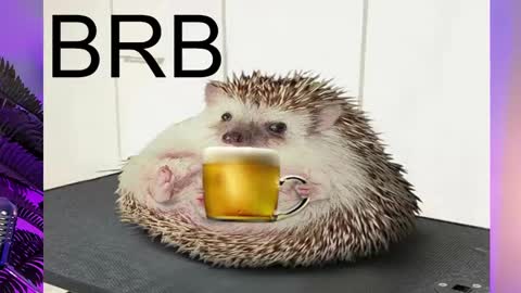 Snapshot of asheluck chatting on February 16, 2025, 11:26 pm AshleyAshe online show from February 16, 2025, 11:26 pm