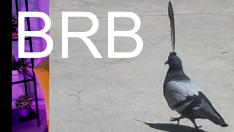 Snapshot of asheluck chatting on March 7, 2025, 5:08 am AshleyAshe online show from March 7, 2025, 5:08 am