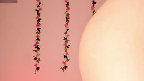 Snapshot of ashleyroys_111 chatting on May 6, 2026, 9:31 pm dahiana online show from May 6, 2026, 9:31 pm