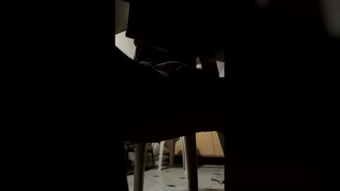 Snapshot of ashutoshkhanna chatting on February 15, 2026, 7:32 pm ashutoshkhanna online show from February 15, 2026, 7:32 pm