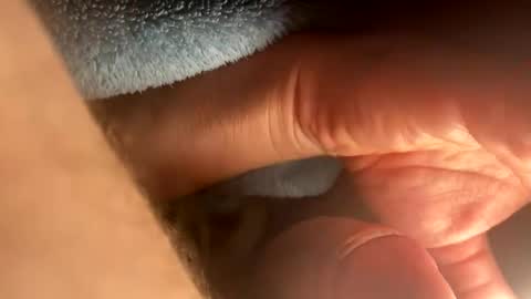 Snapshot of asterwix chatting on September 21, 2025, 1:46 pm asterwix online show from September 21, 2025, 1:46 pm