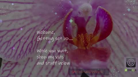 Atrena online show from March 3, 2026, 1:56 am