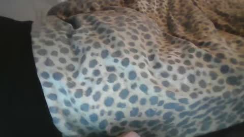 Aussiecockpumper76 online show from March 4, 2025, 5:21 am