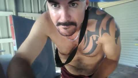 Snapshot of aussiemandon962425 chatting on December 19, 2025, 8:49 pm aussiemandon962425 online show from December 19, 2025, 8:49 pm