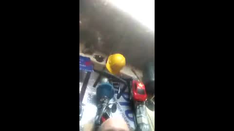 Pluke online show from January 26, 2025, 1:47 pm