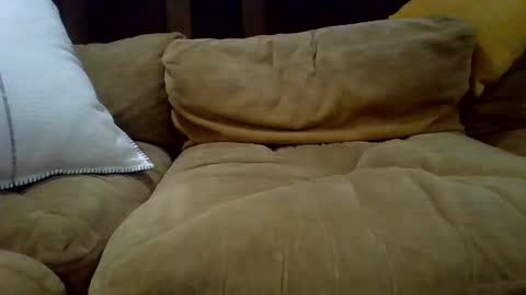 averagecock696969 online show from February 23, 2025, 6:17 am