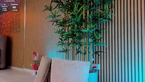 AVRILL CYRUX online show from March 5, 2025, 2:45 pm