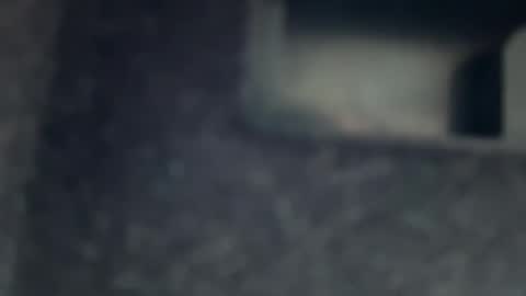 Snapshot of aymax95 chatting on November 17, 2025, 11:38 am AYBOY online show from November 17, 2025, 11:38 am