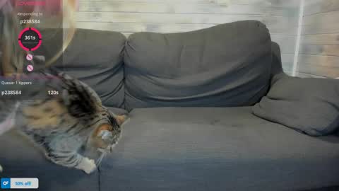 Maribel Bel online show from April 16, 2026, 1:23 pm