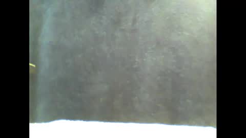 Snapshot of b1gg9inch chatting on January 20, 2025, 11:02 am b1gg9inch online show from January 20, 2025, 11:02 am