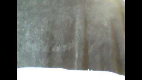 Snapshot of b1gg9inch chatting on February 15, 2025, 10:55 am b1gg9inch online show from February 15, 2025, 10:55 am