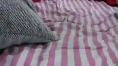 babydollxoxoxo123 online show from April 19, 2026, 6:21 pm