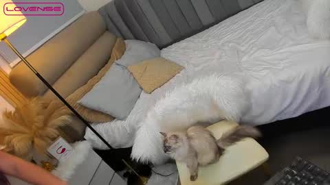 Snapshot of babygoddess4u chatting on October 27, 2025, 1:48 pm ASK ME IN PM online show from October 27, 2025, 1:48 pm