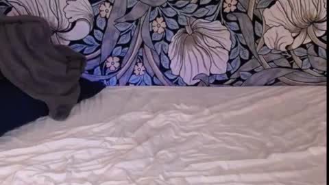 Snapshot of backtatava chatting on September 30, 2025, 1:21 am Ava online show from September 30, 2025, 1:21 am