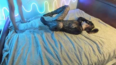 Snapshot of bada_b1ng chatting on December 7, 2024, 2:35 pm bada_b1ng online show from December 7, 2024, 2:35 pm