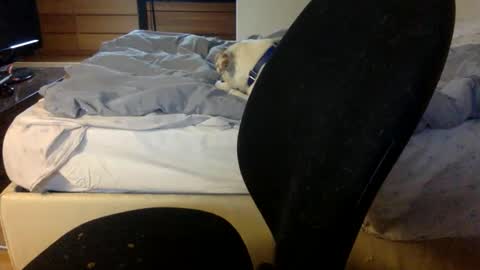 bahn92 online show from March 11, 2026, 6:30 am