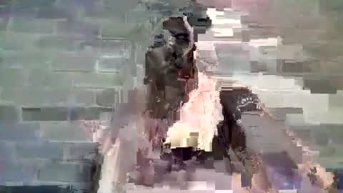 Snapshot of baielekker81578 chatting on January 10, 2025, 11:54 am Chaterlain online show from January 10, 2025, 11:54 am