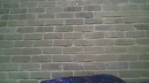 Snapshot of baielekker81578 chatting on January 19, 2025, 1:01 pm Chaterlain online show from January 19, 2025, 1:01 pm