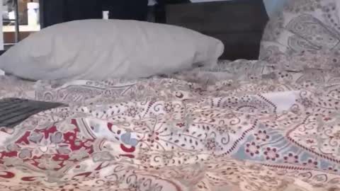 baker305 online show from September 29, 2025, 4:17 am