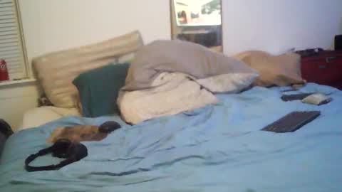 bakerbeachismygig online show from February 15, 2026, 1:57 am