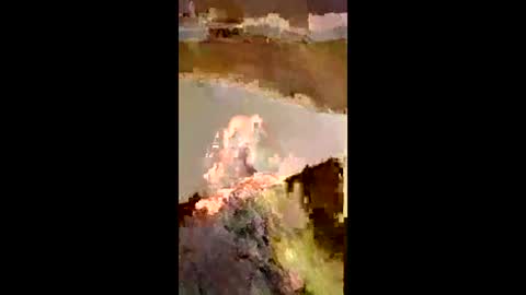 ballsdeepbruce online show from April 4, 2026, 10:35 am