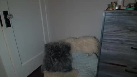 Bambi online show from March 2, 2025, 5:12 am