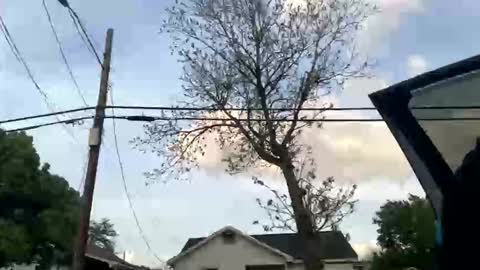 Snapshot of bangabeenlit chatting on April 2, 2026, 12:08 am BeenLit online show from April 2, 2026, 12:08 am