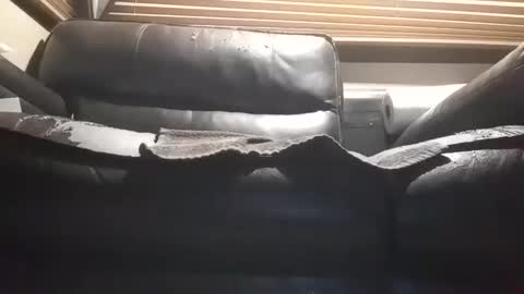 Snapshot of baobabtree10 chatting on October 28, 2025, 12:09 pm baobabtree10 online show from October 28, 2025, 12:09 pm