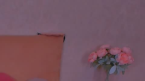 Snapshot of barbara_bb chatting on December 8, 2024, 3:32 am Barbie Kim online show from December 8, 2024, 3:32 am