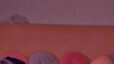 Snapshot of barbara_bb chatting on February 10, 2025, 5:25 am Barbie Kim online show from February 10, 2025, 5:25 am