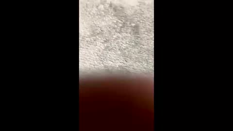 BarbaraDavid online show from March 10, 2026, 3:28 pm