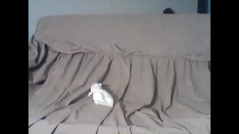 barrysand online show from November 11, 2025, 4:12 am