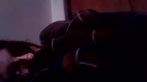 bathingcat online show from January 19, 2025, 6:10 pm