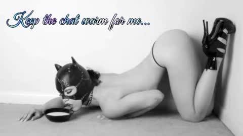 Your always sexy Harley online show from July 5, 2026, 7:15 am