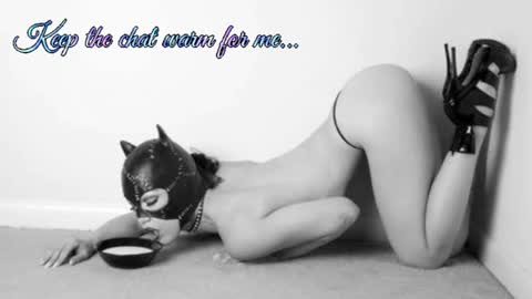 Your always sexy Harley online show from July 8, 2026, 8:19 am