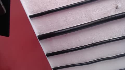 bayonette_black online show from December 2, 2024, 11:34 am