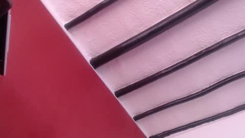 bayonette_black online show from December 13, 2024, 11:23 am