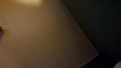 Snapshot of bbc_in_chitwn chatting on December 5, 2024, 7:38 pm bbc_in_chitwn online show from December 5, 2024, 7:38 pm