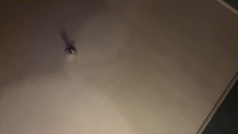 Snapshot of bbc_in_chitwn chatting on January 31, 2025, 7:50 am bbc_in_chitwn online show from January 31, 2025, 7:50 am