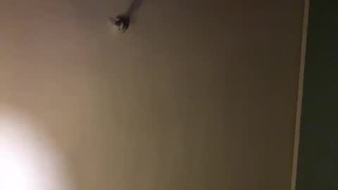 Snapshot of bbc_in_chitwn chatting on February 1, 2025, 10:44 pm bbc_in_chitwn online show from February 1, 2025, 10:44 pm