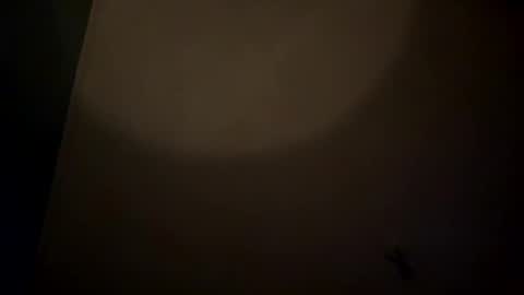 Snapshot of bbc_in_chitwn chatting on February 22, 2025, 9:12 am bbc_in_chitwn online show from February 22, 2025, 9:12 am