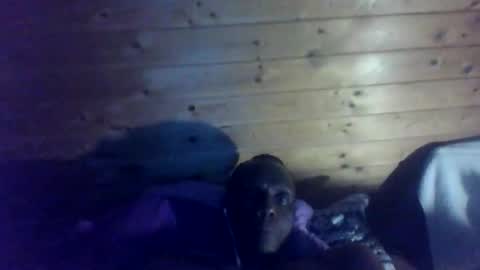 Snapshot of bbcmasterxl chatting on December 22, 2025, 1:02 am bbcmasterxl online show from December 22, 2025, 1:02 am