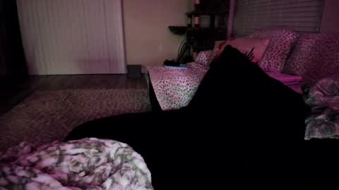 Shasta online show from April 6, 2026, 4:32 am