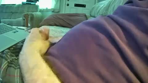 bcema2 online show from September 26, 2025, 5:28 pm